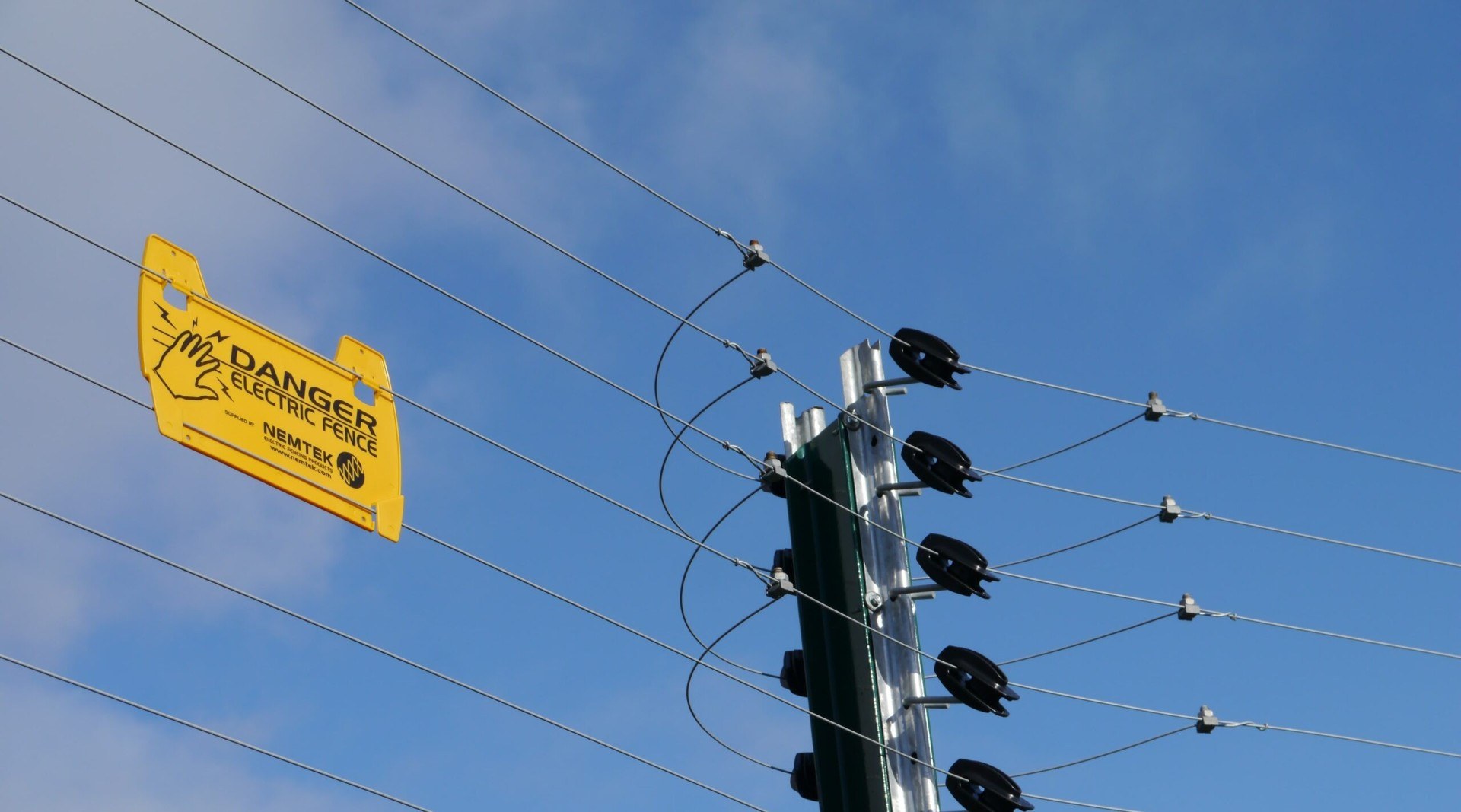 Energised electric security fencing topping a boundary wall at a Gauteng property
